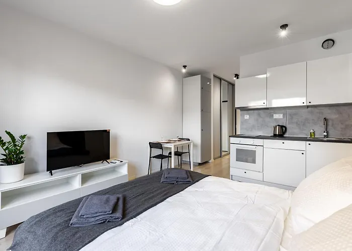 Slnecnice With Parking 24 Hour Check In * Pressburg